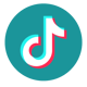 TikTok Trend Scan